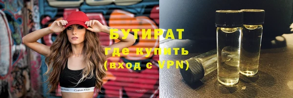индика Алзамай