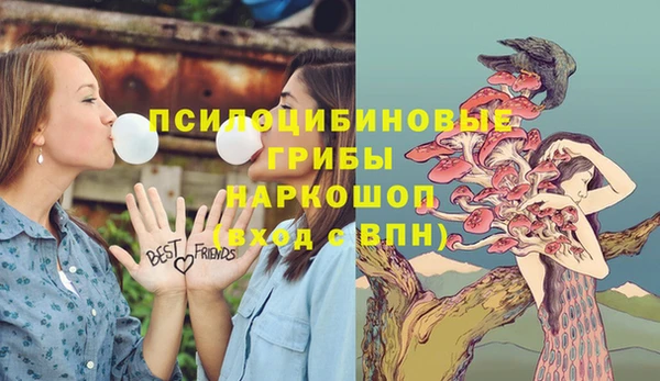мдпв Арсеньев