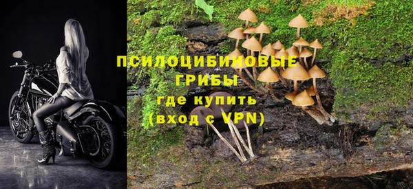индика Алзамай