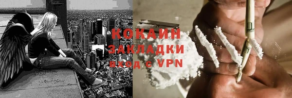 индика Алзамай