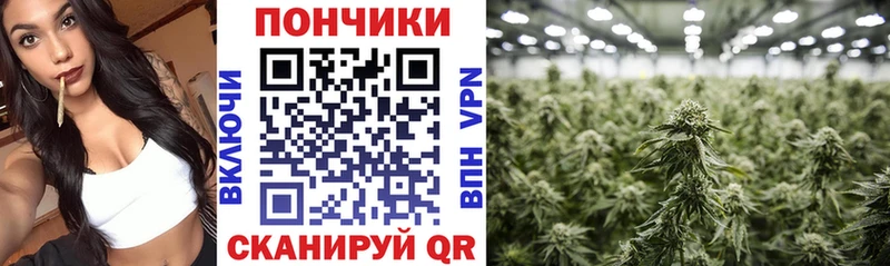 Канабис гибрид  купить наркотик  Арсеньев 